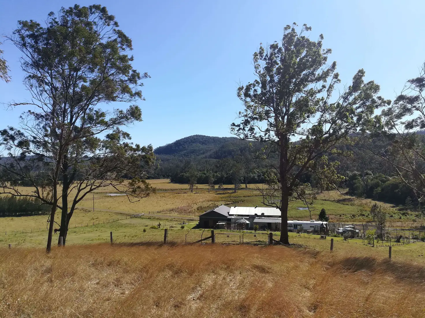 Main view of Homely rural property listing, 123 Old School Road, Busbys Flat NSW 2469