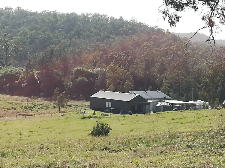 Second view of Homely rural property listing, 123 Old School Road, Busbys Flat NSW 2469