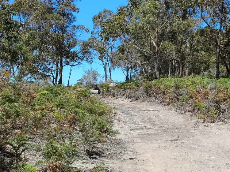 Main view of Homely rural property listing, 161 Levendale Back Road, Levendale TAS 7120