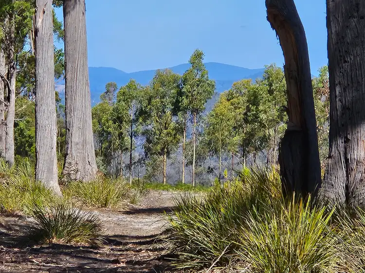 Second view of Homely rural property listing, 161 Levendale Back Road, Levendale TAS 7120