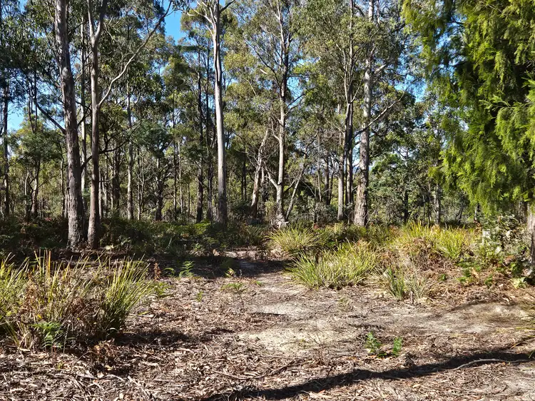 Third view of Homely rural property listing, 161 Levendale Back Road, Levendale TAS 7120