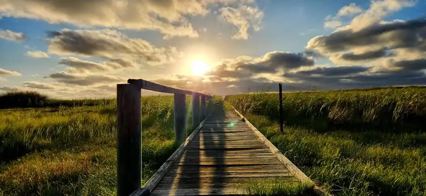 Main view of Homely land listing, 11 Thorpe Road, Clayton Bay SA 5256