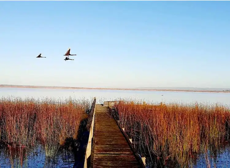 Second view of Homely land listing, 11 Thorpe Road, Clayton Bay SA 5256