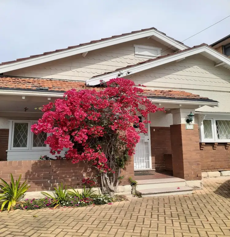 110 Homer Street, Earlwood NSW 2206