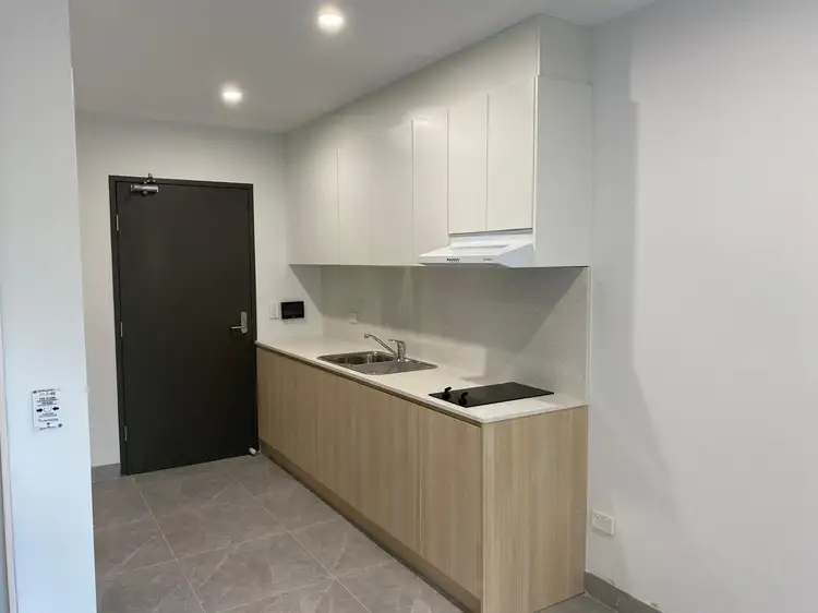 81 Palace Street, Petersham NSW 2049