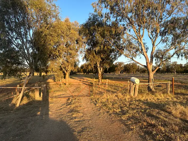 Main view of Homely rural property listing, Lot 133 Troths Lane, Quandialla NSW 2721