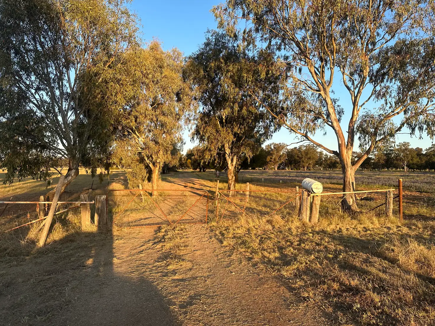 Main view of Homely rural property listing, Lot 133 Troths Lane, Quandialla NSW 2721