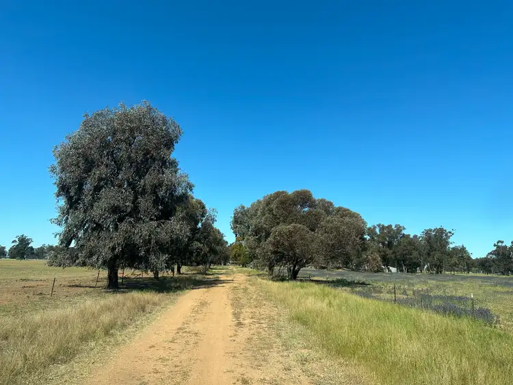 Second view of Homely rural property listing, Lot 133 Troths Lane, Quandialla NSW 2721
