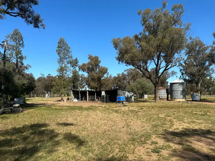 Fifth view of Homely rural property listing, Lot 133 Troths Lane, Quandialla NSW 2721