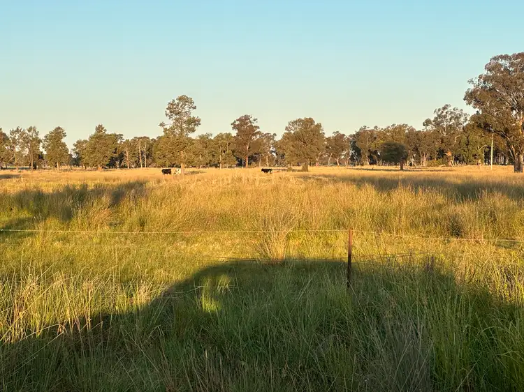 Sixth view of Homely rural property listing, Lot 133 Troths Lane, Quandialla NSW 2721