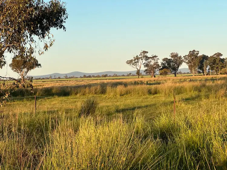 Seventh view of Homely rural property listing, Lot 133 Troths Lane, Quandialla NSW 2721