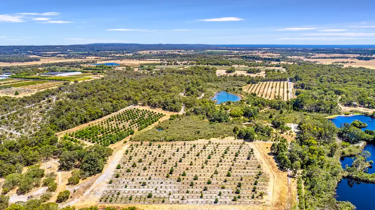 Third view of Homely rural property listing, 162 Haag Road, Carbunup River WA 6280