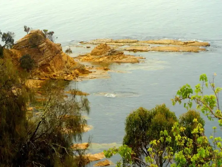 Fourth view of Homely house listing, 14 Flowerpot Crescent, Blackmans Bay TAS 7052