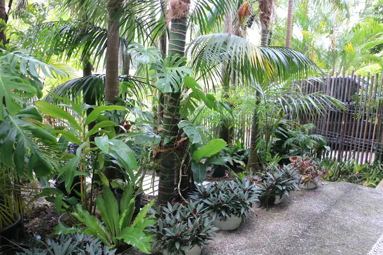 Second view of Homely house listing, 147 Green Point Drive, Green Point NSW 2428