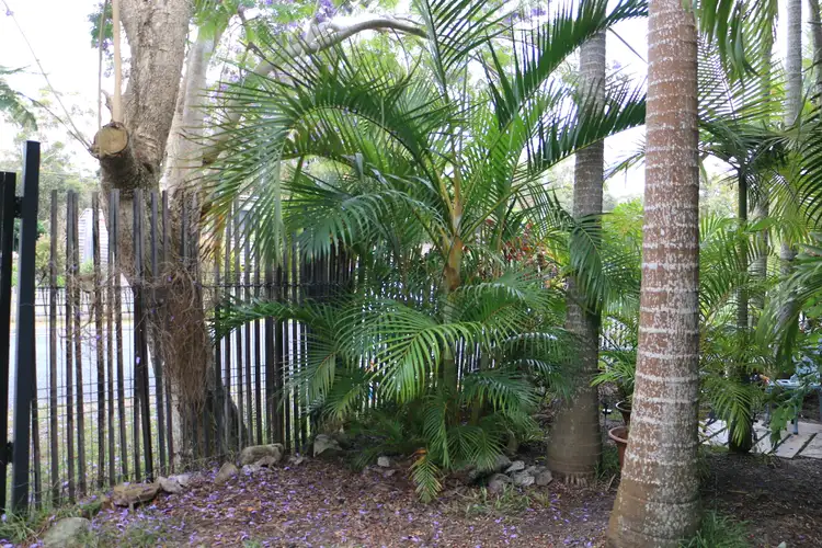 Third view of Homely house listing, 147 Green Point Drive, Green Point NSW 2428