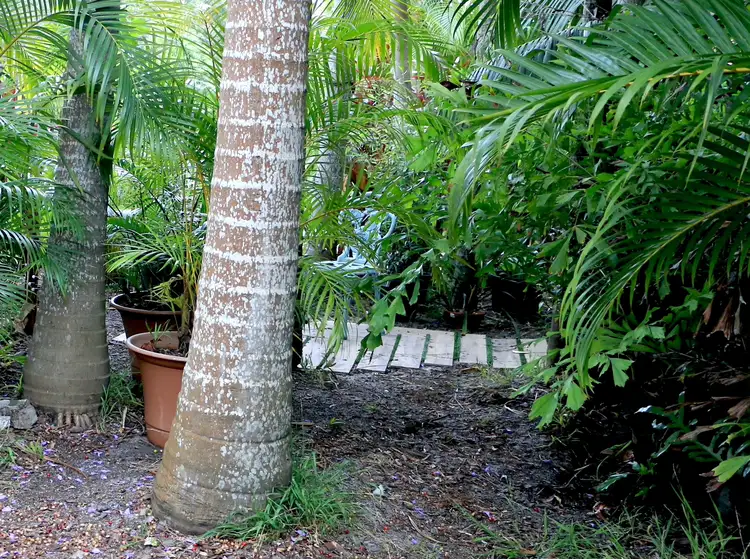 Fifth view of Homely house listing, 147 Green Point Drive, Green Point NSW 2428