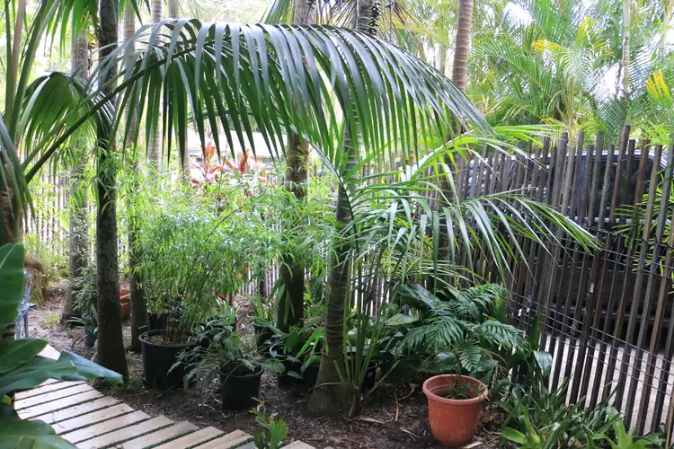 Sixth view of Homely house listing, 147 Green Point Drive, Green Point NSW 2428