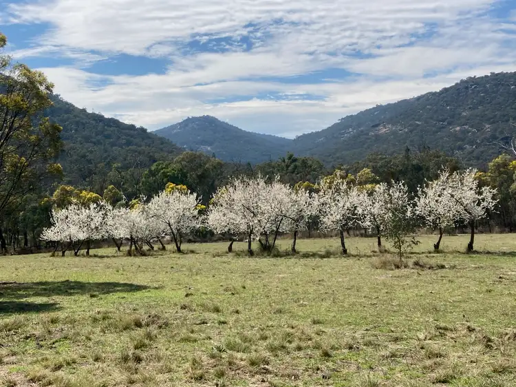 Second view of Homely rural property listing, Lot 130 McDonagh Road, Lyra QLD 4382