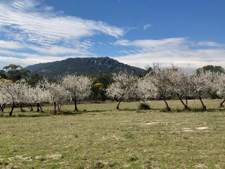 Third view of Homely rural property listing, Lot 130 McDonagh Road, Lyra QLD 4382