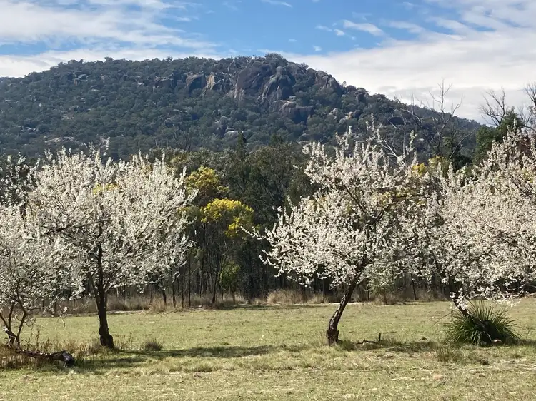 Fourth view of Homely rural property listing, Lot 130 McDonagh Road, Lyra QLD 4382