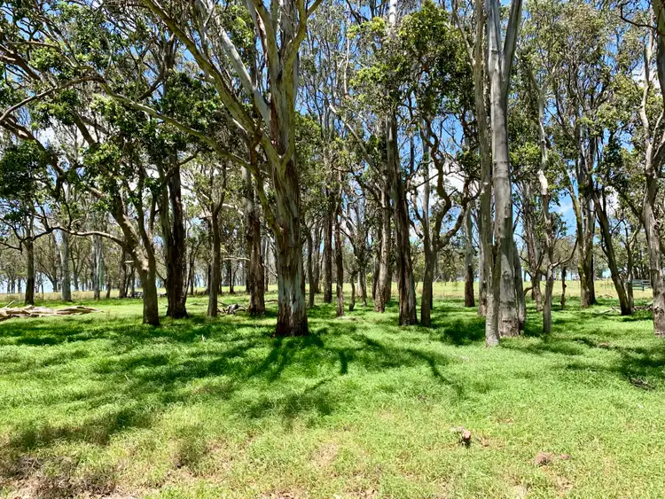 Seventh view of Homely land listing, 5454 Mount Lindesay Road, Liston NSW 2372