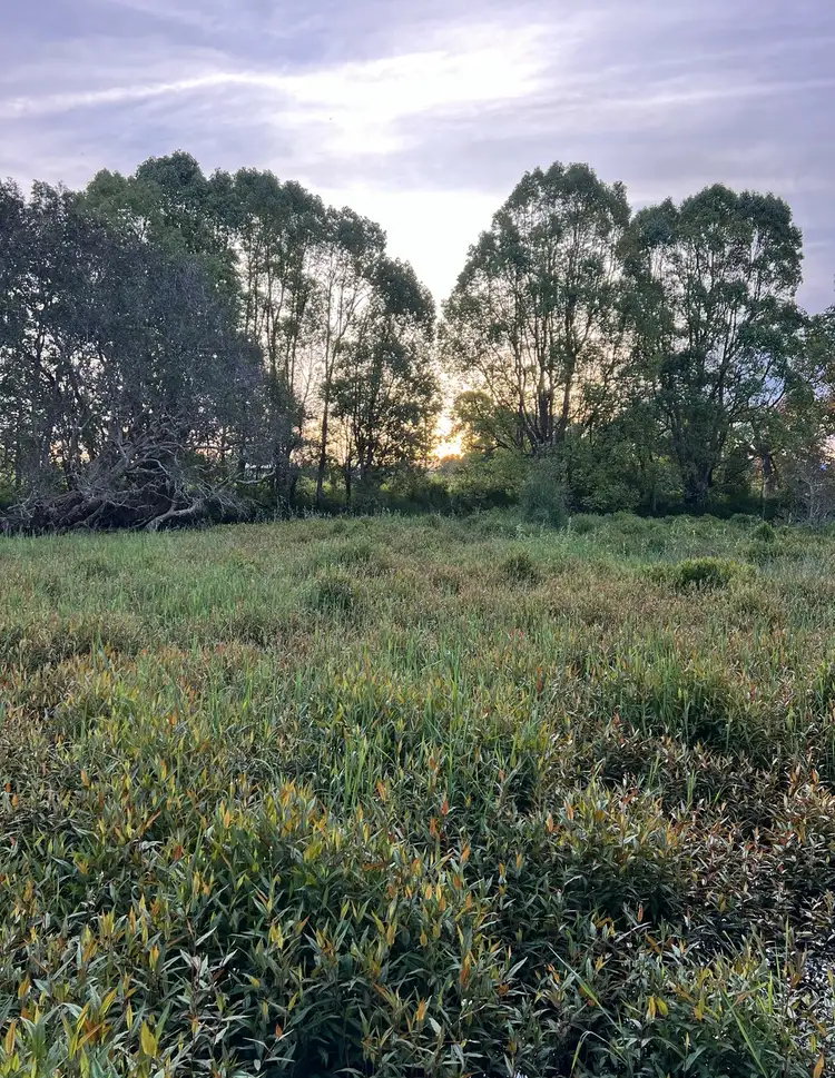 Fifth view of Homely land listing, Lot 1 Yellow Rock Road, Raleigh NSW 2454