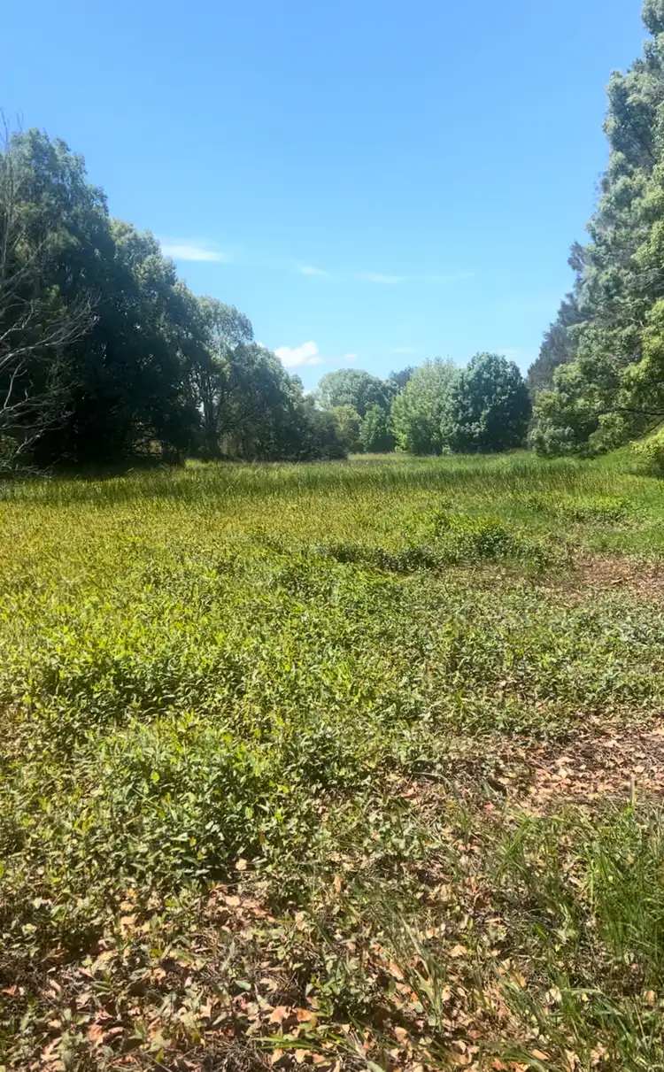 Sixth view of Homely land listing, Lot 1 Yellow Rock Road, Raleigh NSW 2454