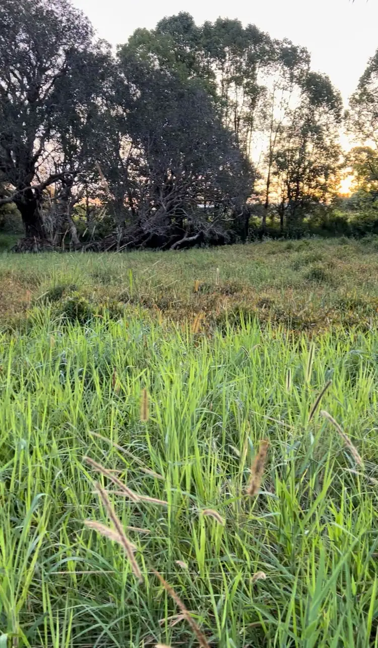 Seventh view of Homely land listing, Lot 1 Yellow Rock Road, Raleigh NSW 2454