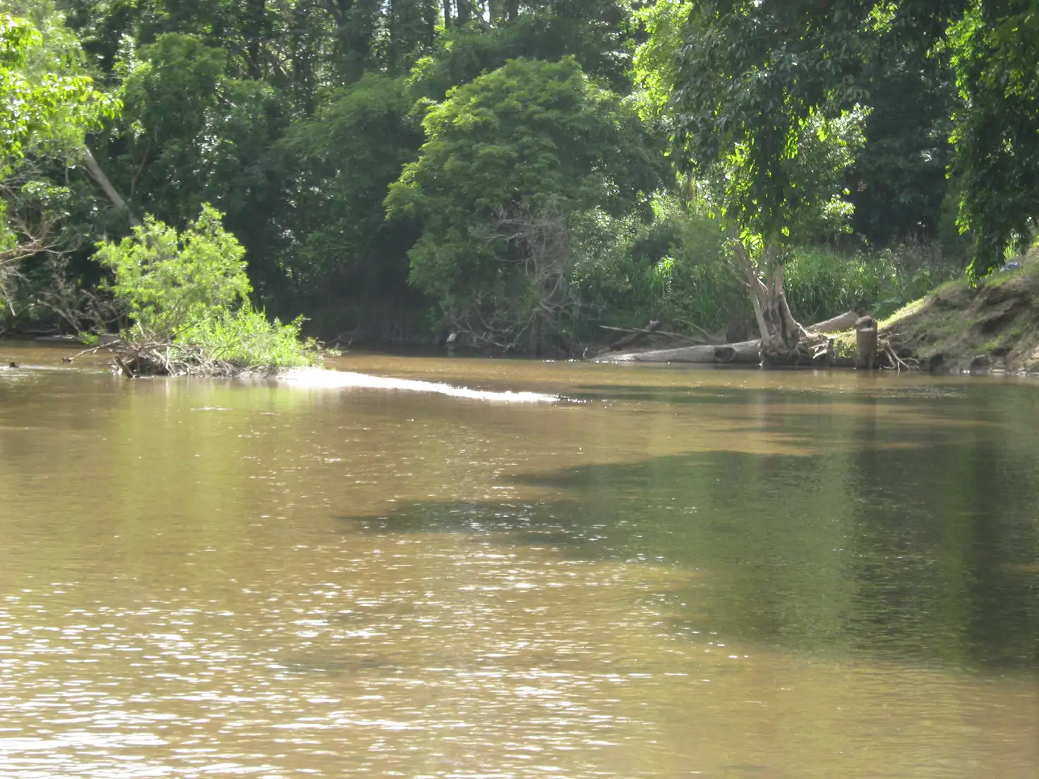Main view of Homely rural property listing, 158 Hodzic Rd, Biboohra QLD 4880