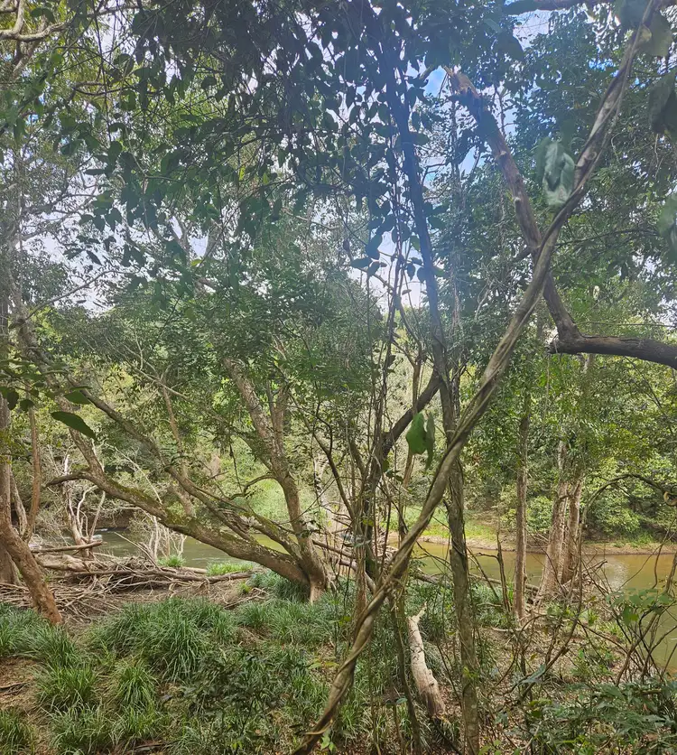 Third view of Homely rural property listing, 158 Hodzic Rd, Biboohra QLD 4880