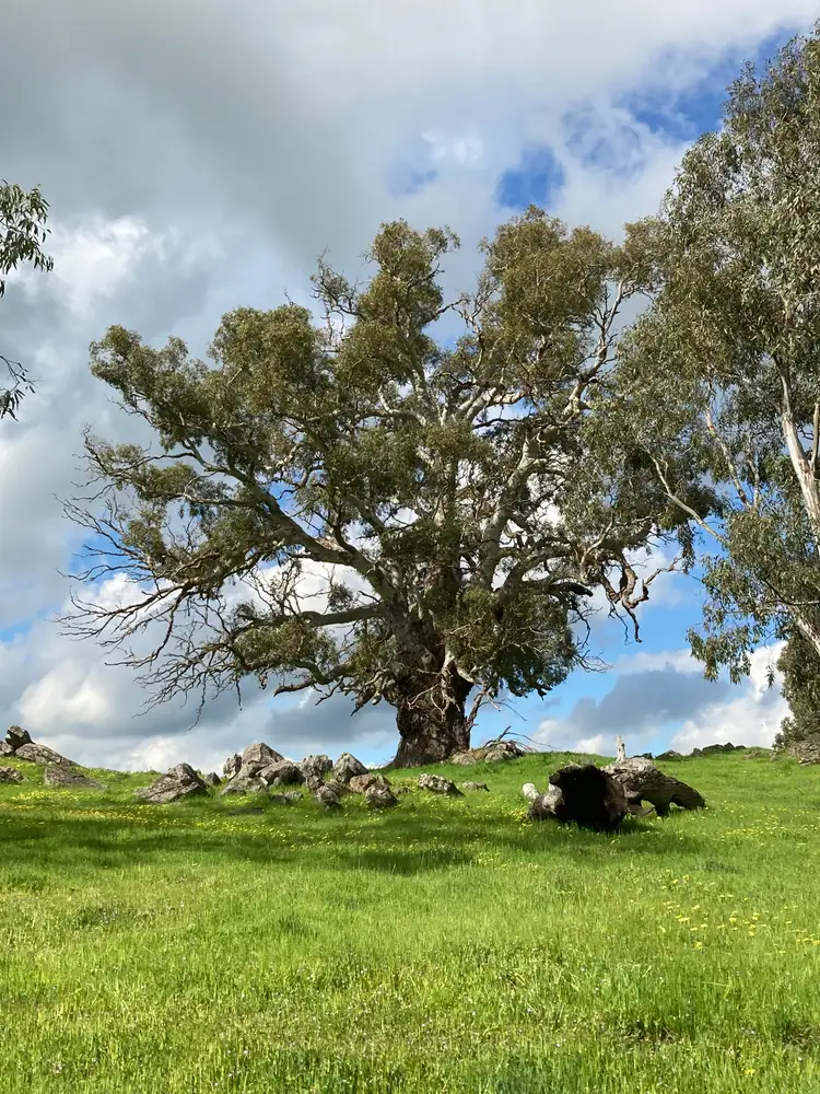 Sixth view of Homely land listing, Address available on request