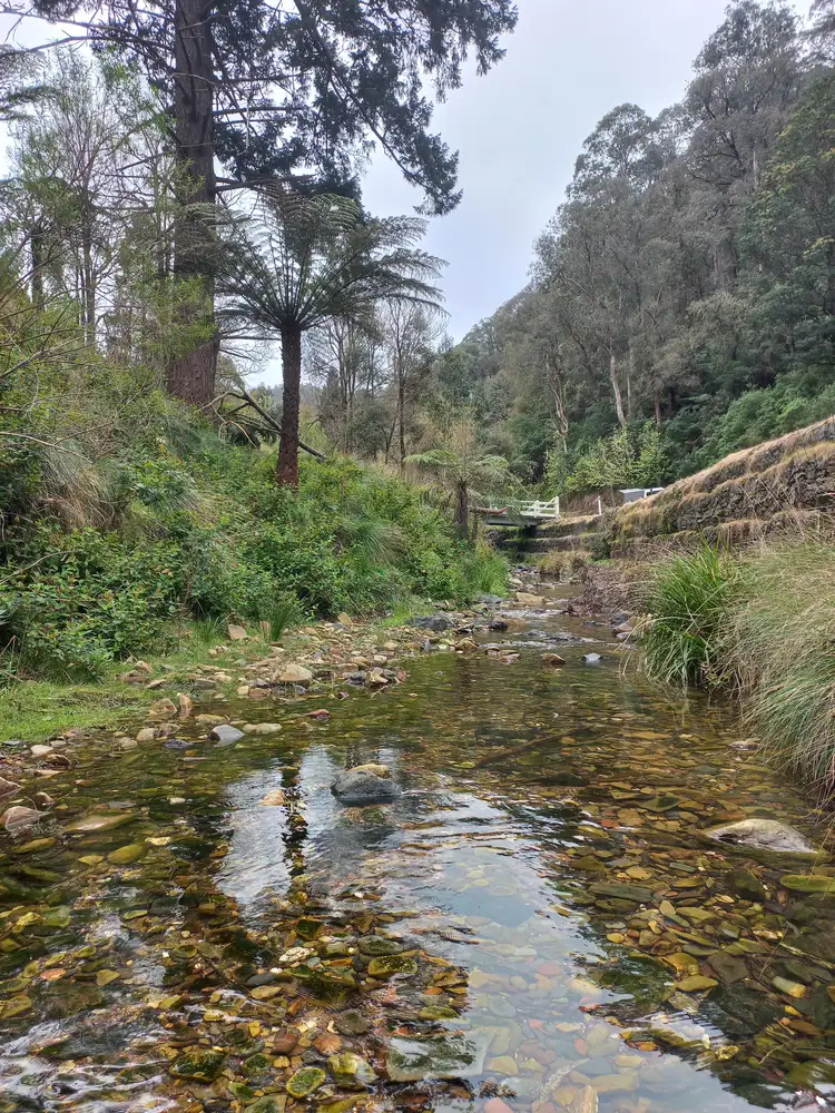 Sixth view of Homely land listing, 181 Main Road, Walhalla VIC 3825
