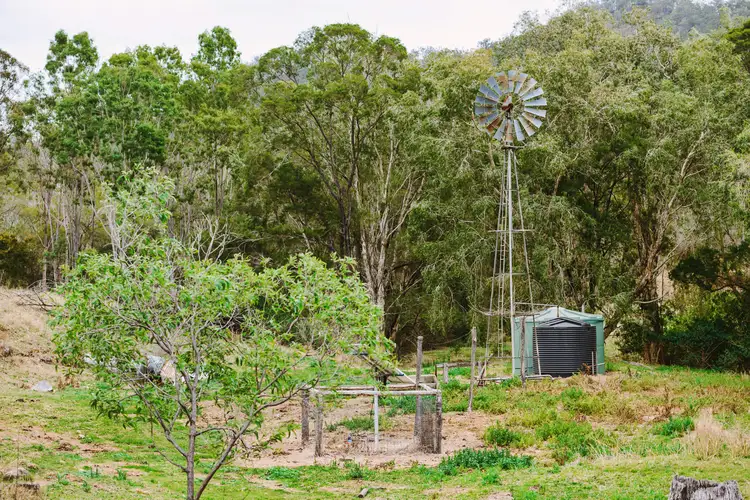 Fifth view of Homely rural property listing, 1250 Mount Hector Road, Boyne Valley QLD 4680