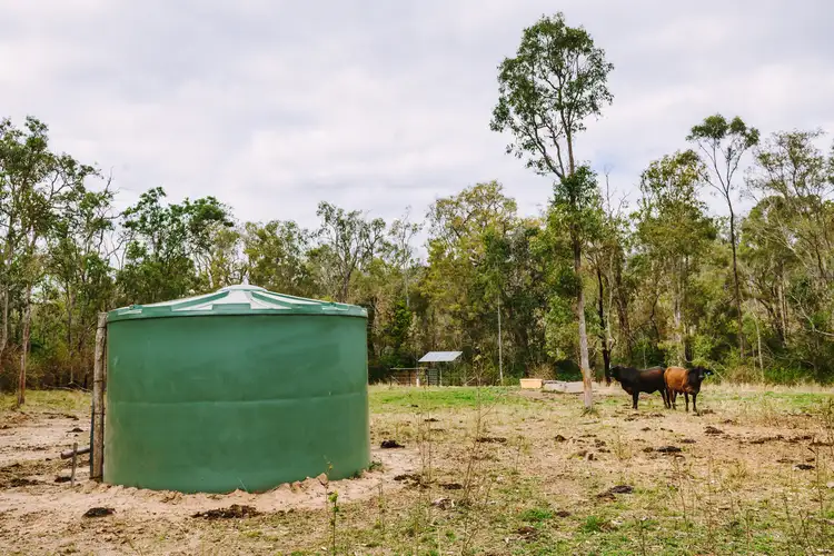 Sixth view of Homely rural property listing, 1250 Mount Hector Road, Boyne Valley QLD 4680