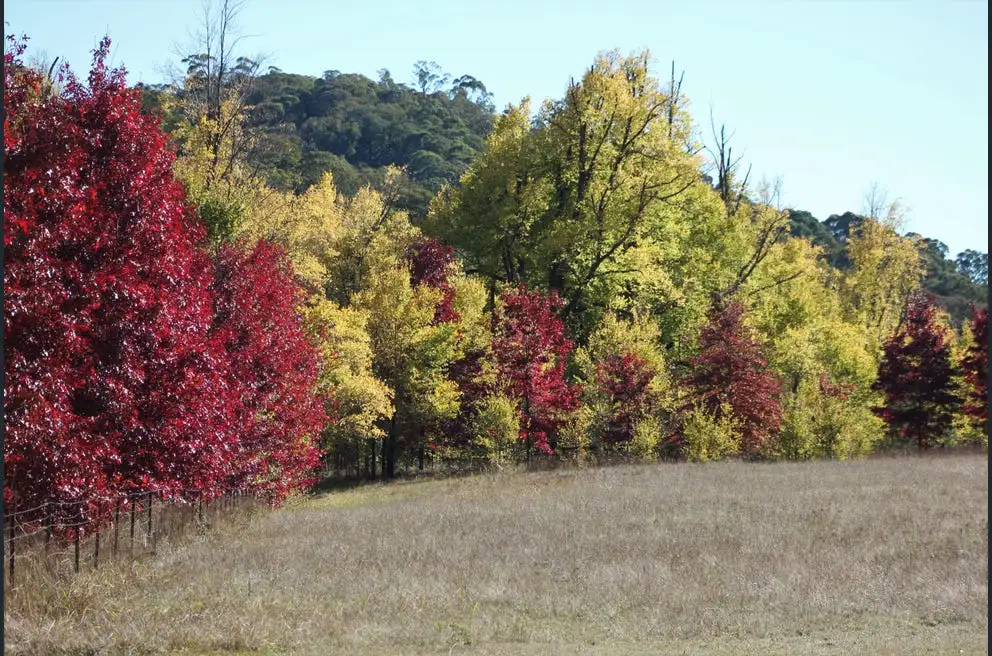 Main view of Homely house listing, 1757-1799 Goobarragandra Rd, Goobarragandra NSW 2720
