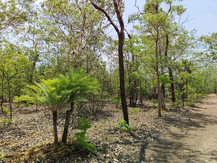 Fifth view of Homely rural property listing, 115E Stockwell Rd, Blackmore NT 822