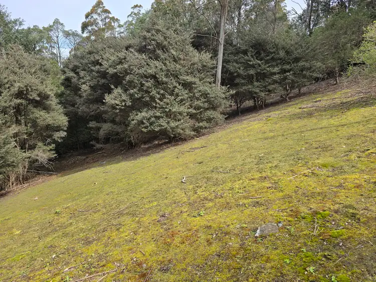 Seventh view of Homely house listing, 766 Huon Road, Fern Tree TAS 7054