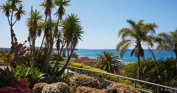 Fifth view of Homely house listing, 29 Jenkins Street, Collaroy NSW 2097