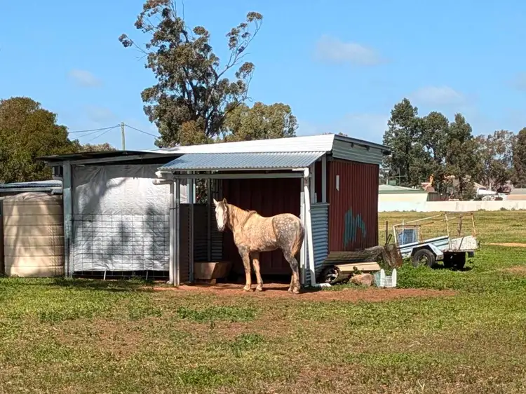 104 Coolamon Street, Ariah Park NSW 2665