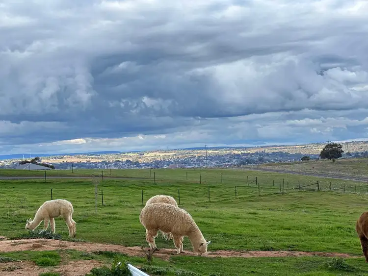 Second view of Homely rural property listing, 20 Lacey Place, Young NSW 2594