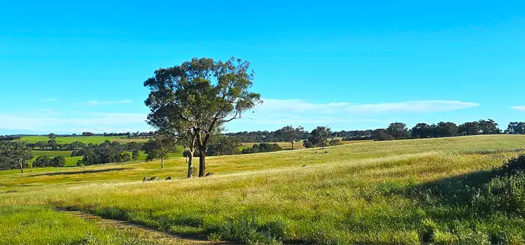 Third view of Homely rural property listing, 20 Lacey Place, Young NSW 2594