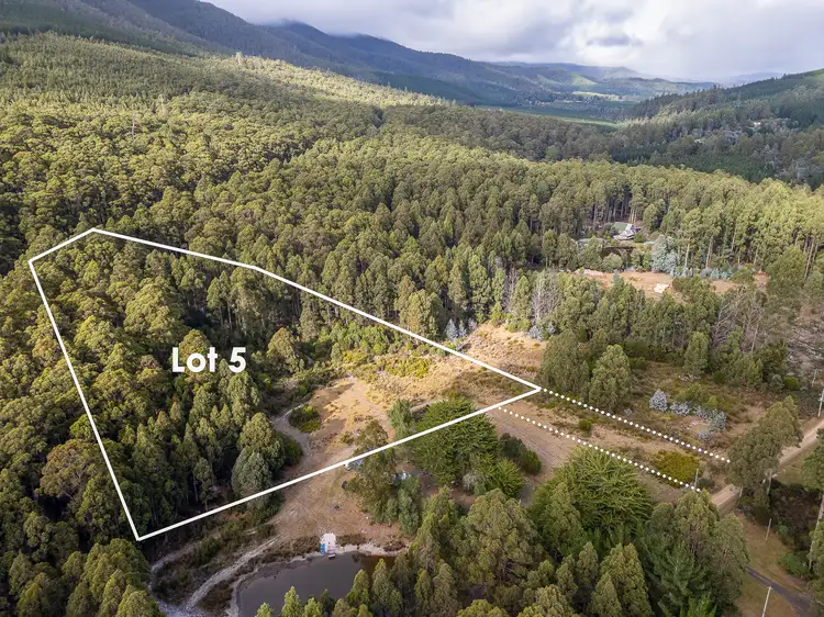 Main view of Homely land listing, Lot 5 Gordon River Road, Tyenna TAS 7140
