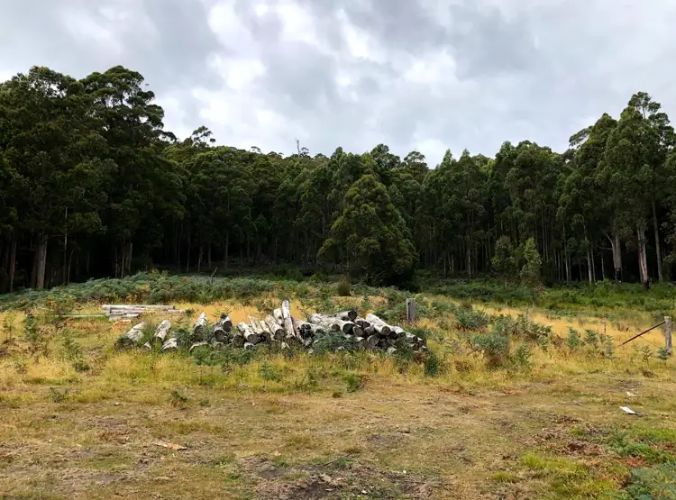 Second view of Homely land listing, Lot 5 Gordon River Road, Tyenna TAS 7140