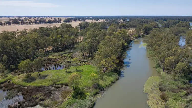 Sixth view of Homely rural property listing, 2237 Spring Drive, Collendina NSW 2646