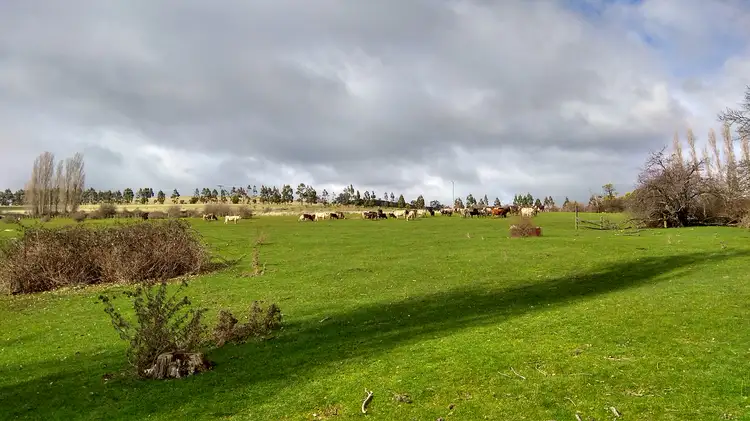 Fifth view of Homely rural property listing, 129 Tasman Hwy, Waverley TAS 7250