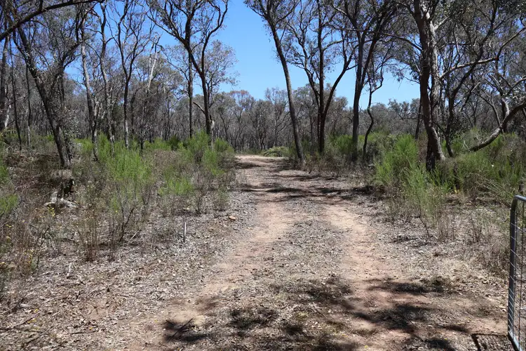 Second view of Homely land listing, 184 Ryalls Lane, Strathfieldsaye VIC 3551