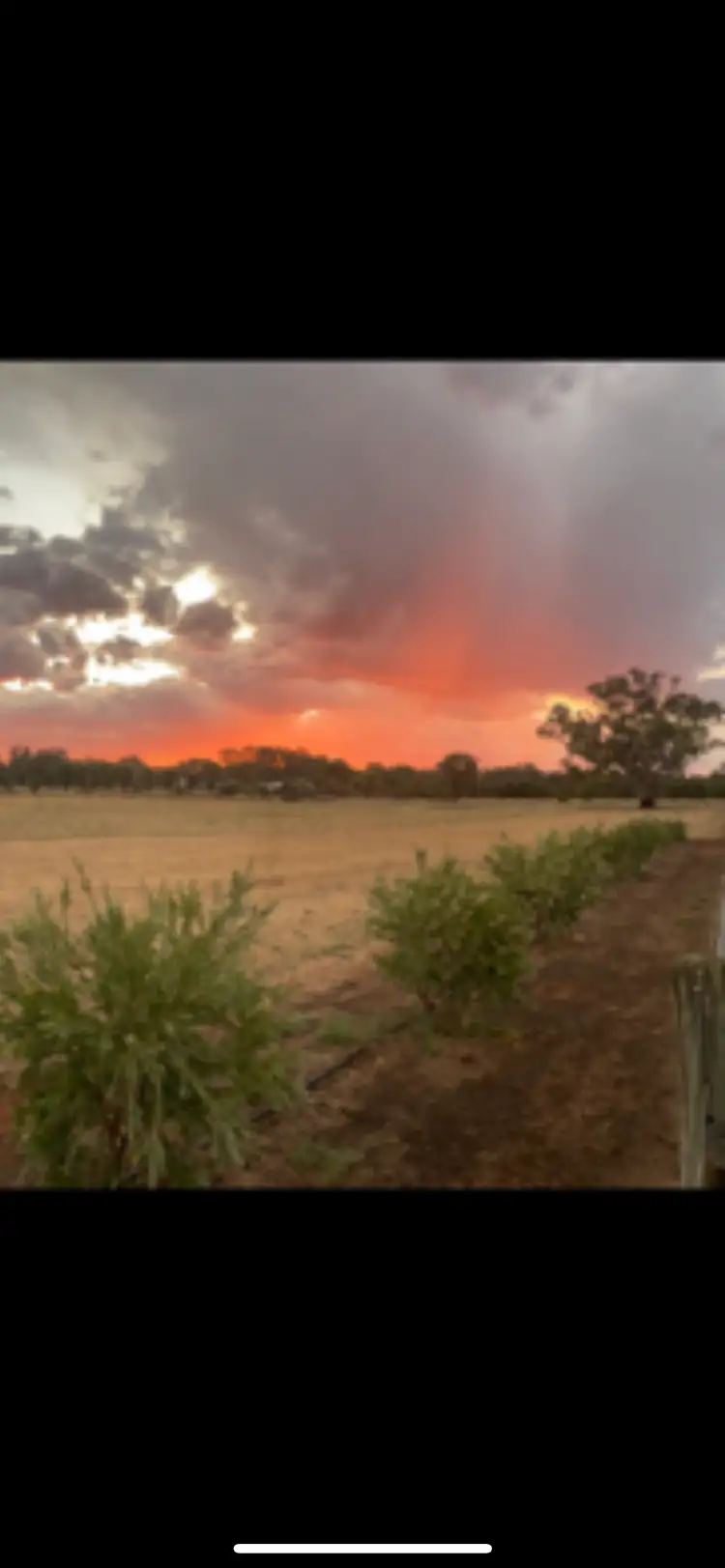 Third view of Homely land listing, Lot 3 North Barham Road, Barham NSW 2732