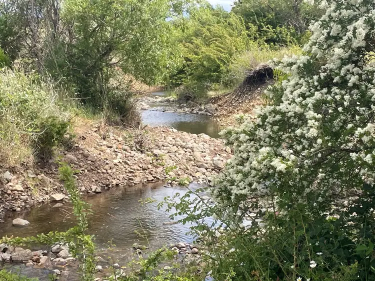 Fifth view of Homely land listing, 3208 Tasman Highway, Orielton TAS 7172