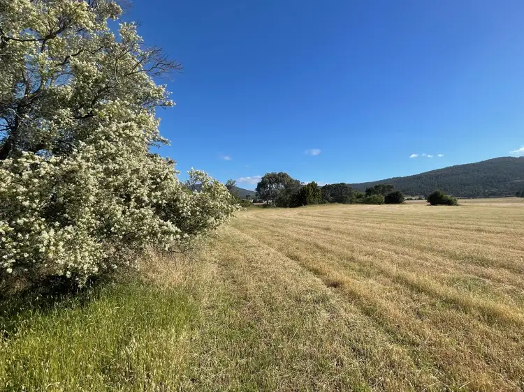 Seventh view of Homely land listing, 3208 Tasman Highway, Orielton TAS 7172