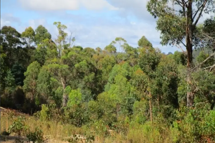 Fourth view of Homely land listing, 142448/1 Lakeside Drive, Acacia Hills TAS 7306